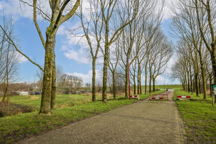 Foto 42 van Ir. F.W. Conradstraat 26