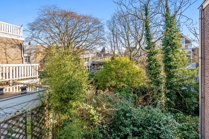 Foto 33 van Van Aerssenstraat 230