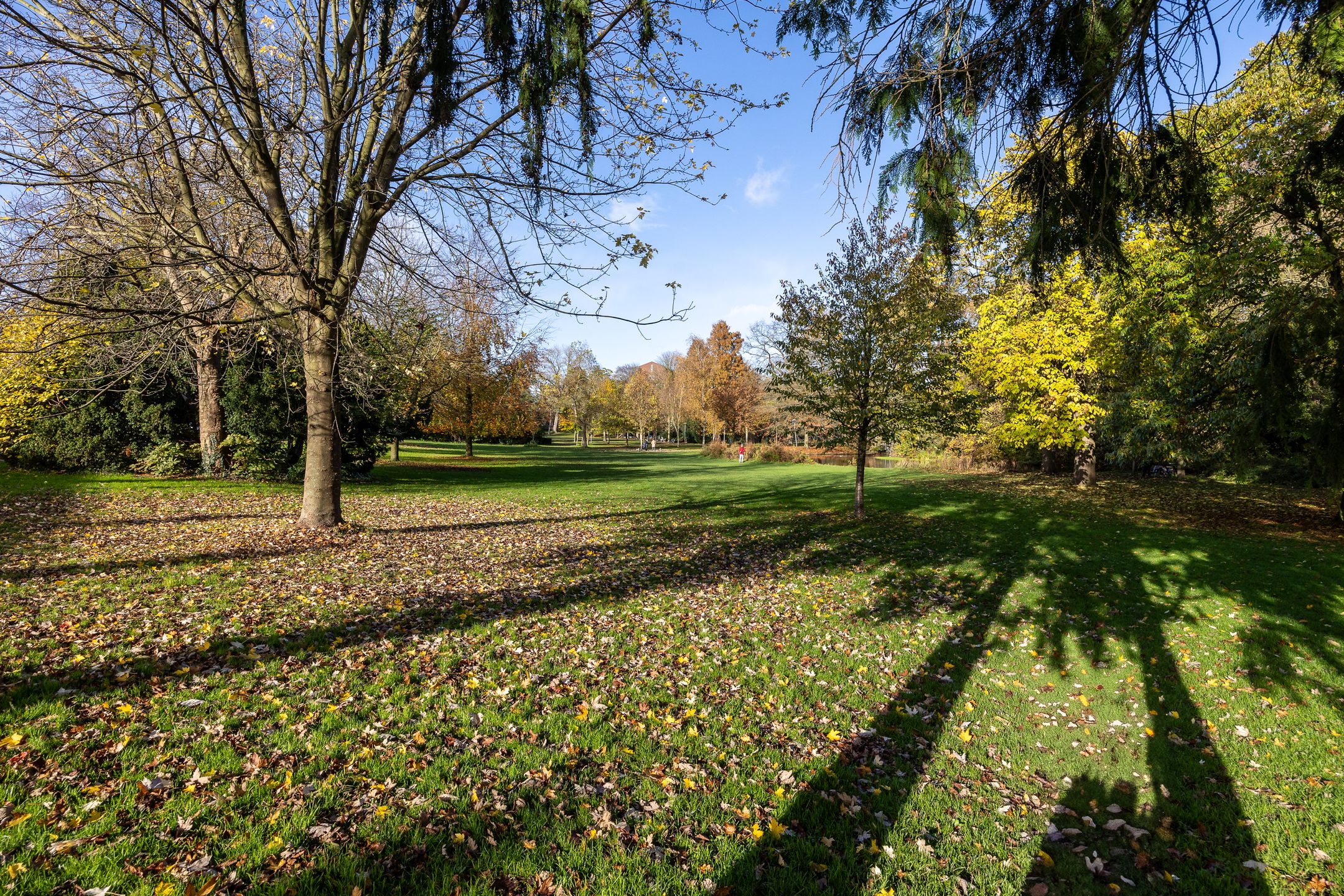 Photo 30 of Bartóklaan 12