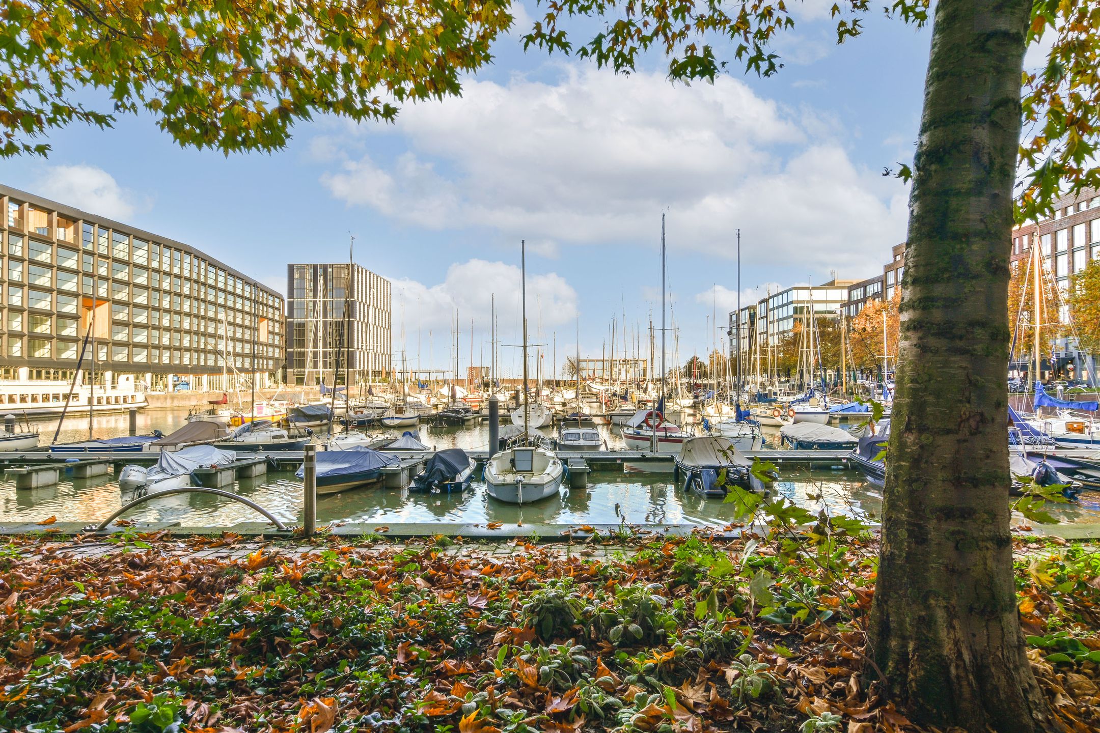 Foto 21 van Erich Salomonstraat 114