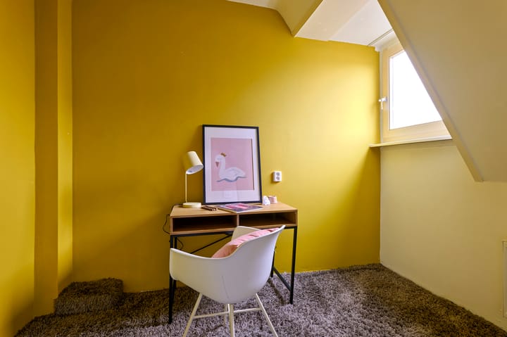 Foto 21 van Meeuwenlaan 203-B