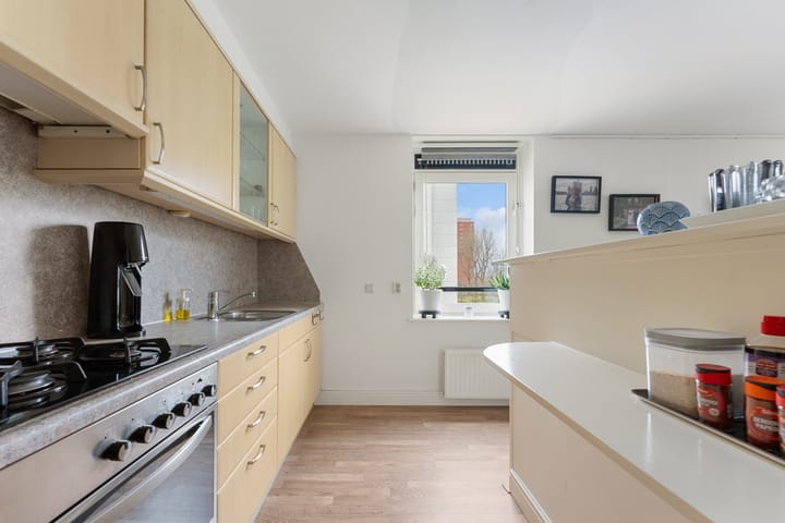 Photo 22 of Plein 1953 209