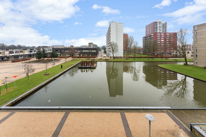 Photo 31 of Plein 1953 209