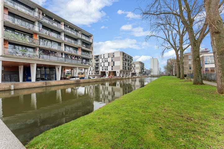 Photo 37 of Plein 1953 209