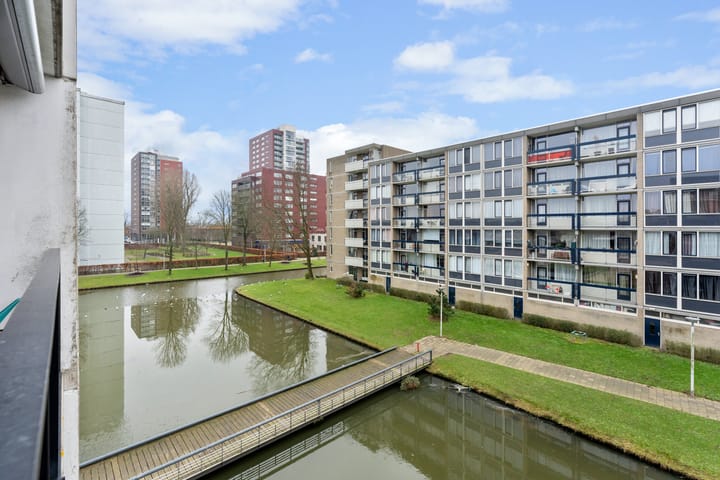 Photo 38 of Plein 1953 209