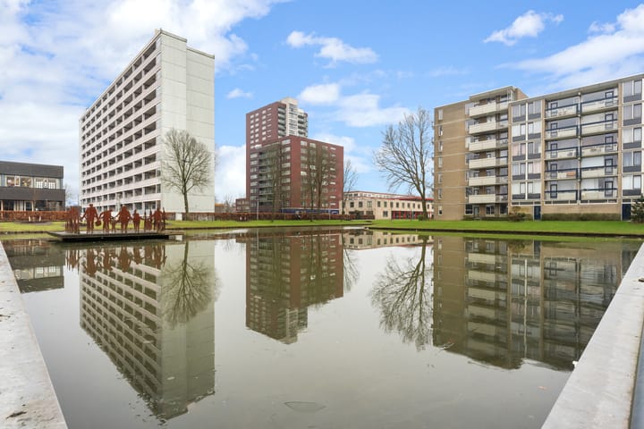 Photo 39 of Plein 1953 209