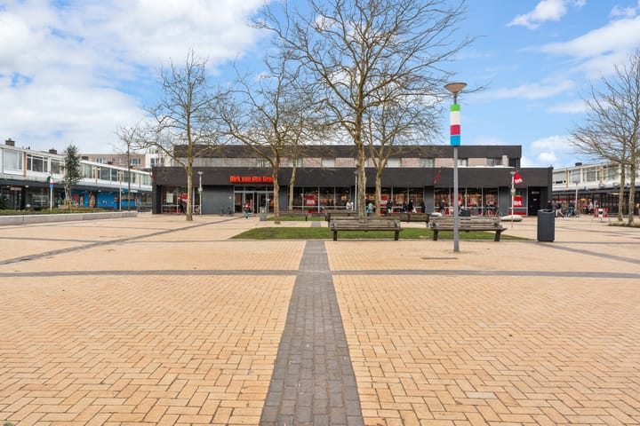 Photo 40 of Plein 1953 209