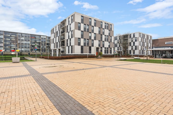 Photo 42 of Plein 1953 209