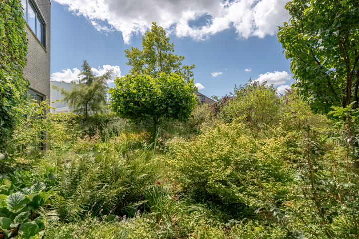 Foto 23 van Oscar Romerostraat 8