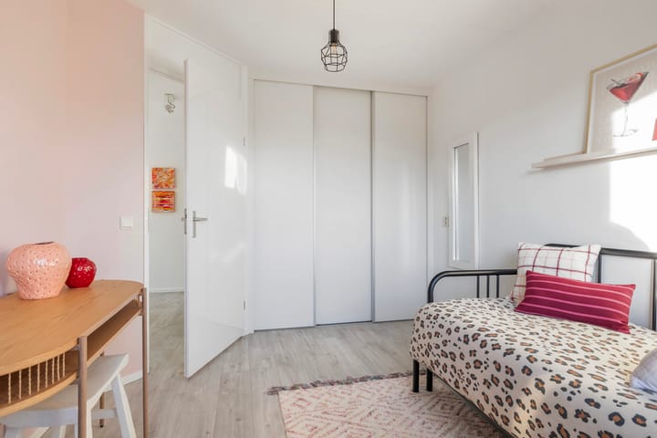 Foto 29 van de Westeregen 4