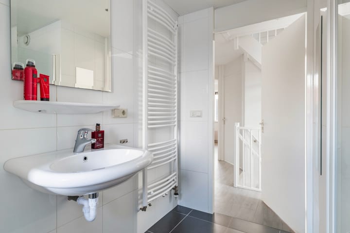 Foto 36 van de Westeregen 4