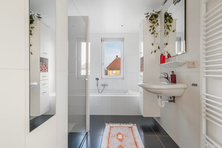 Foto 35 van de Westeregen 4