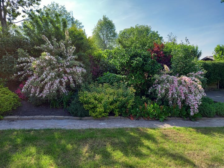 Foto 38 van Kerkeburen 56