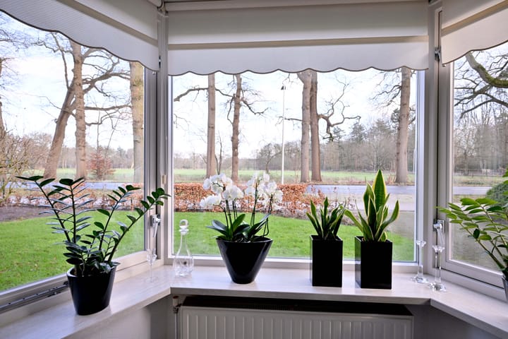 Foto 4 van Boxbergerweg 91-A