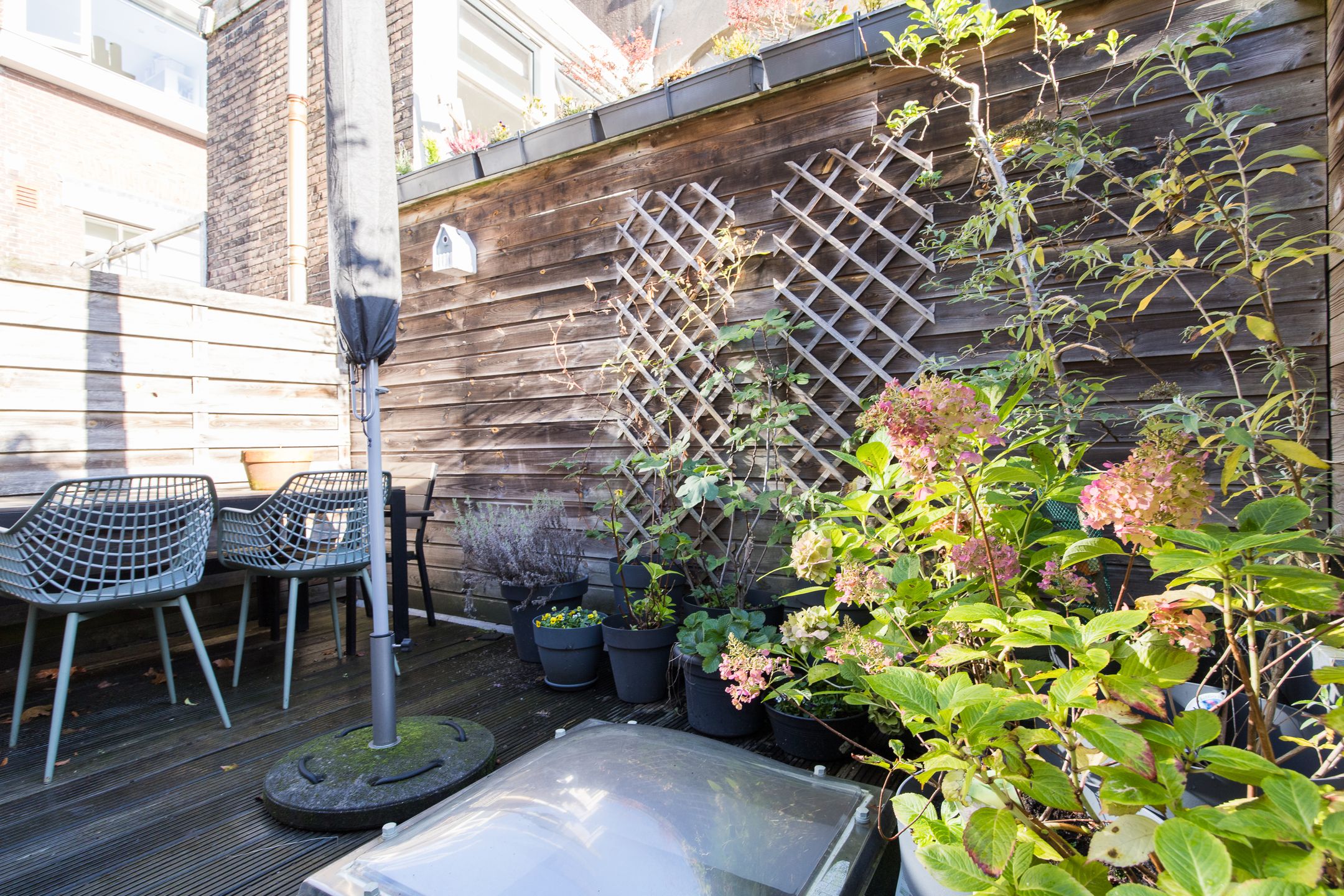 Foto 42 van Wagendwarsstraat 8