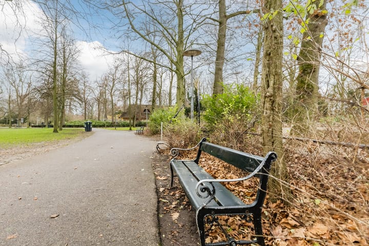 Foto 43 van Zonstraat 146