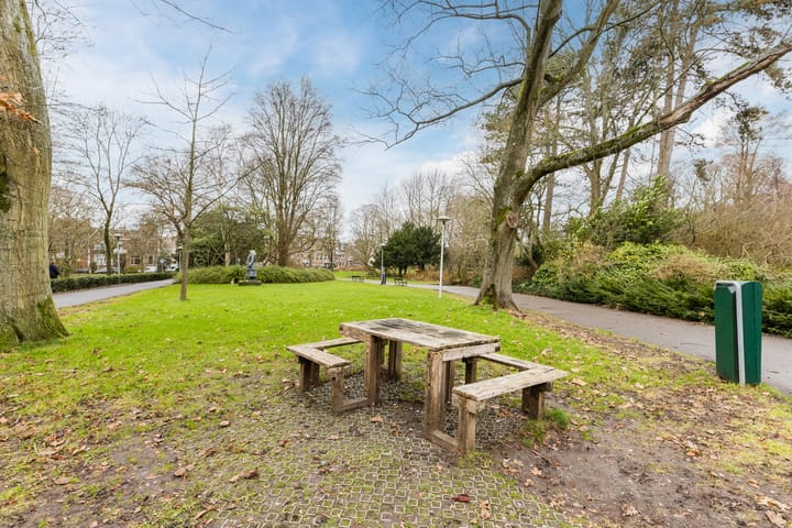 Foto 45 van Zonstraat 146