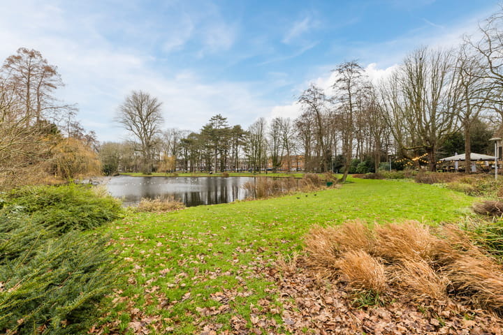 Foto 47 van Zonstraat 146