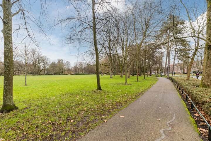 Foto 50 van Zonstraat 146