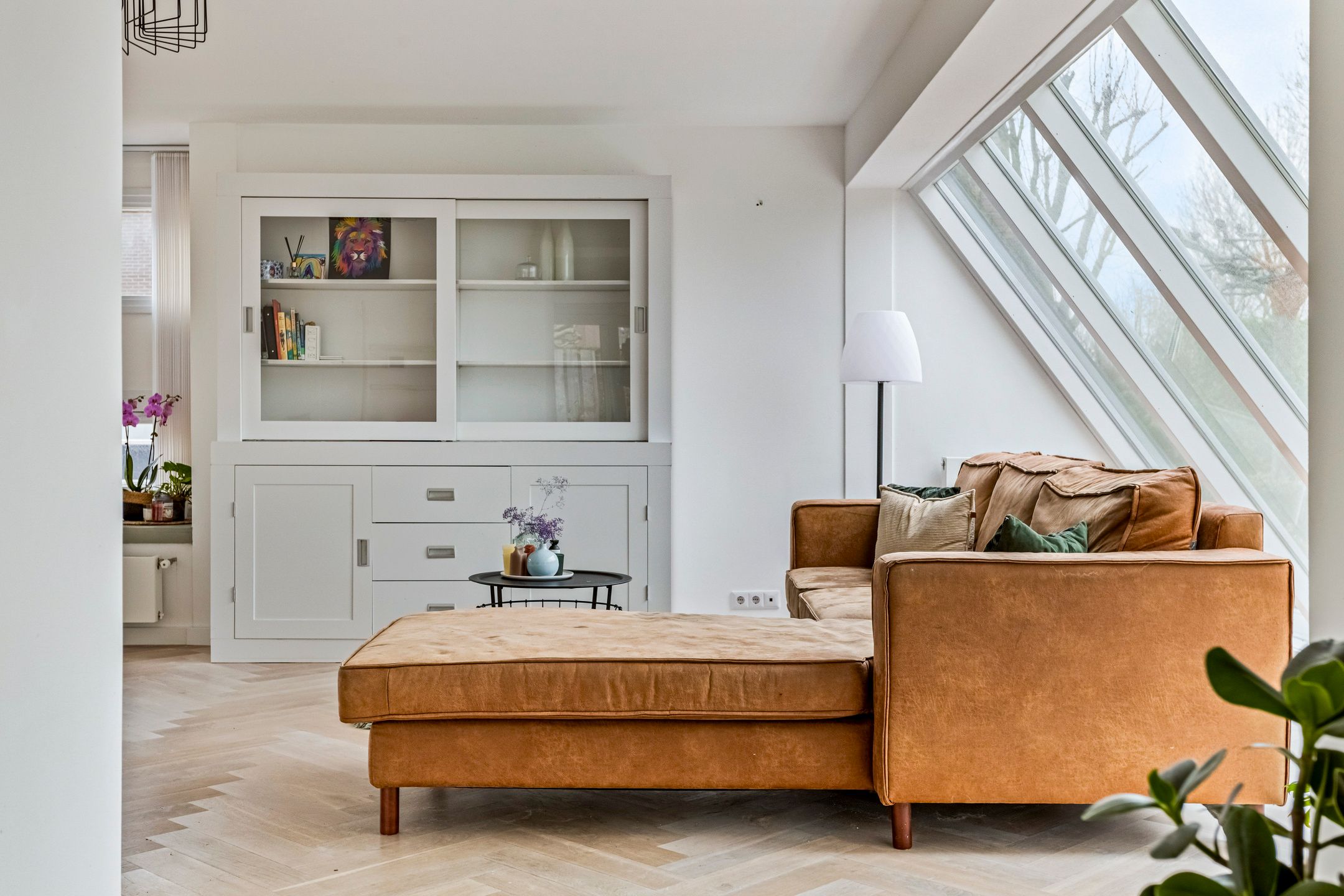 Photo 12 of Koolwitje 1