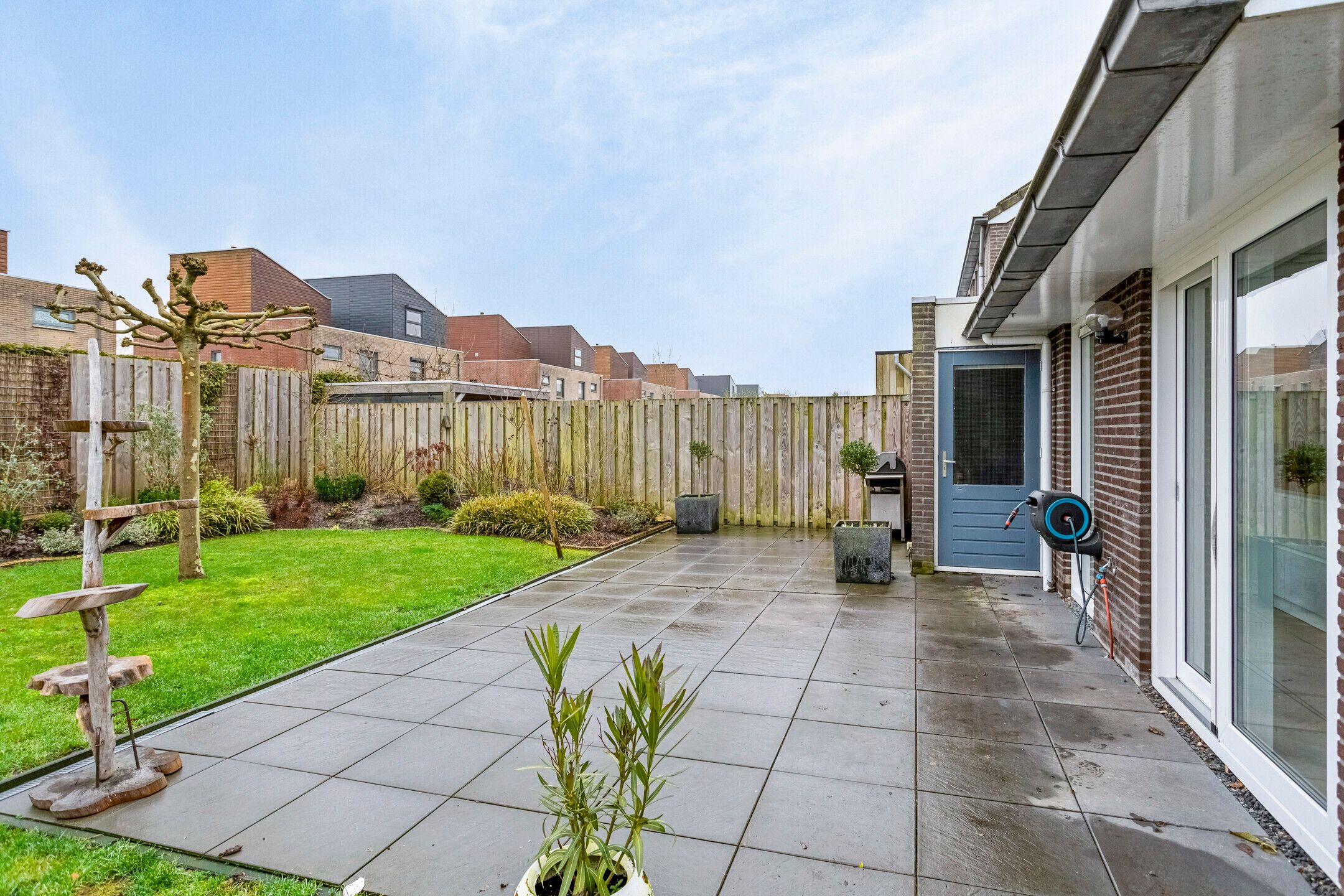 Photo 27 of Koolwitje 1