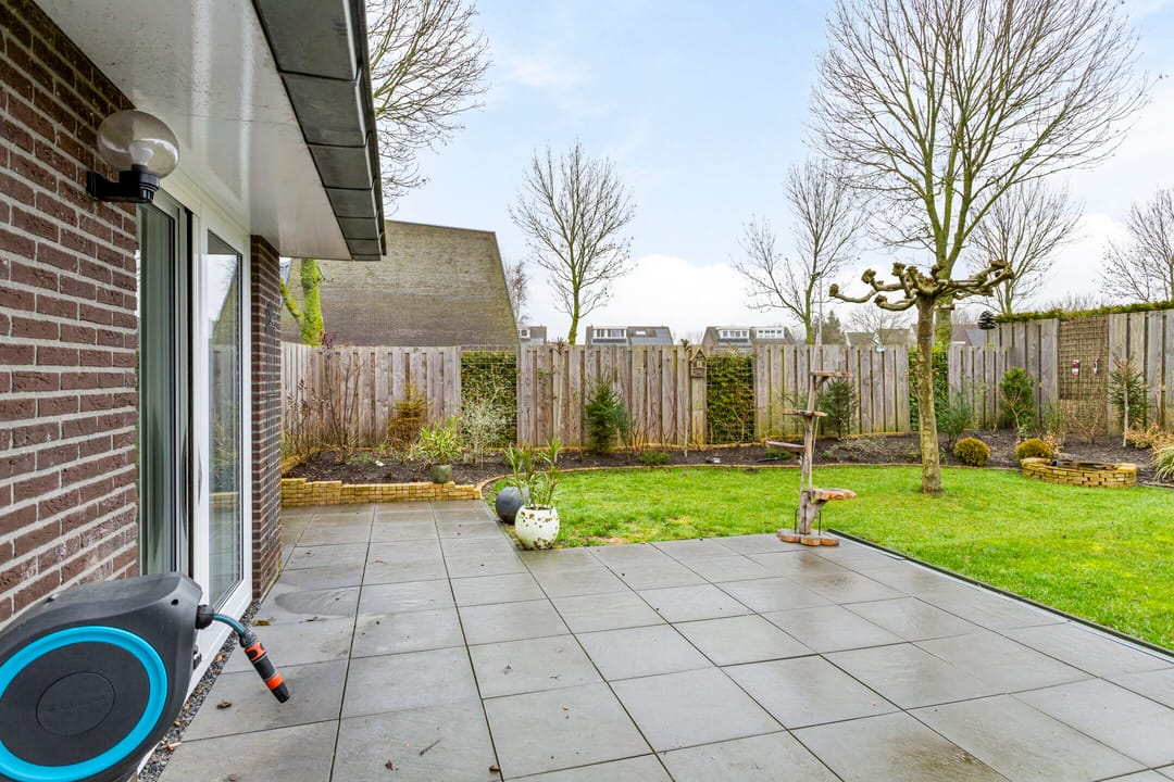 Photo 28 of Koolwitje 1