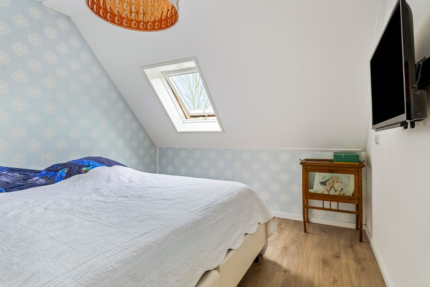 Photo 20 of Koolwitje 1