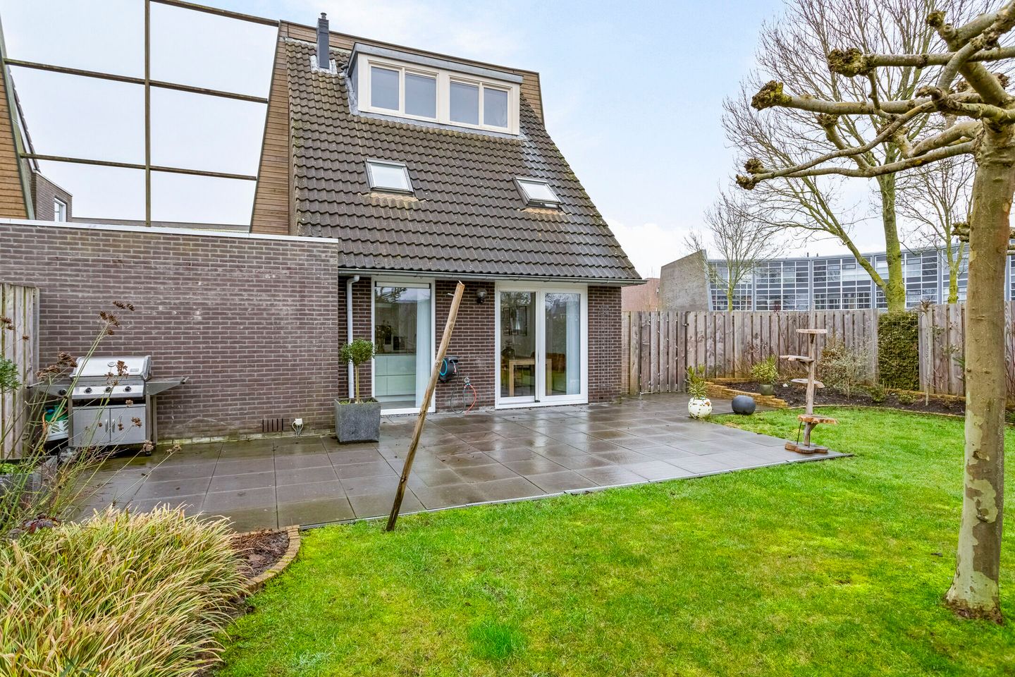 Photo 29 of Koolwitje 1