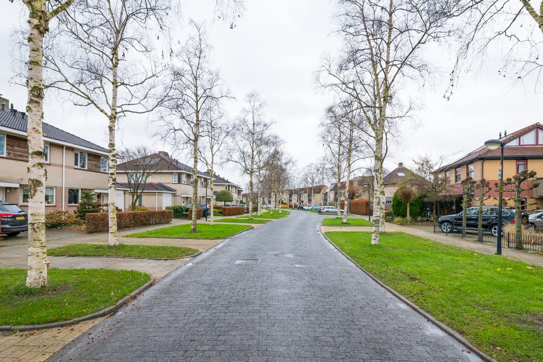 Foto 8 van Donaudal 40