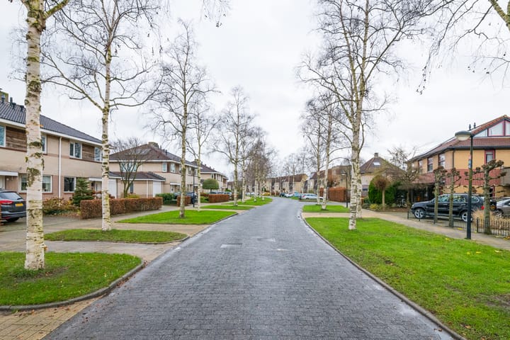 Foto 8 van Donaudal 40