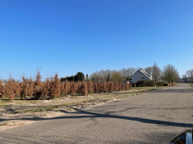Foto 4 van Roosendaalsebaan, kavel 2