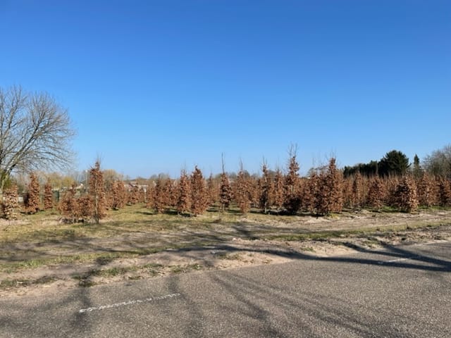 Foto 5 van Roosendaalsebaan, kavel 2