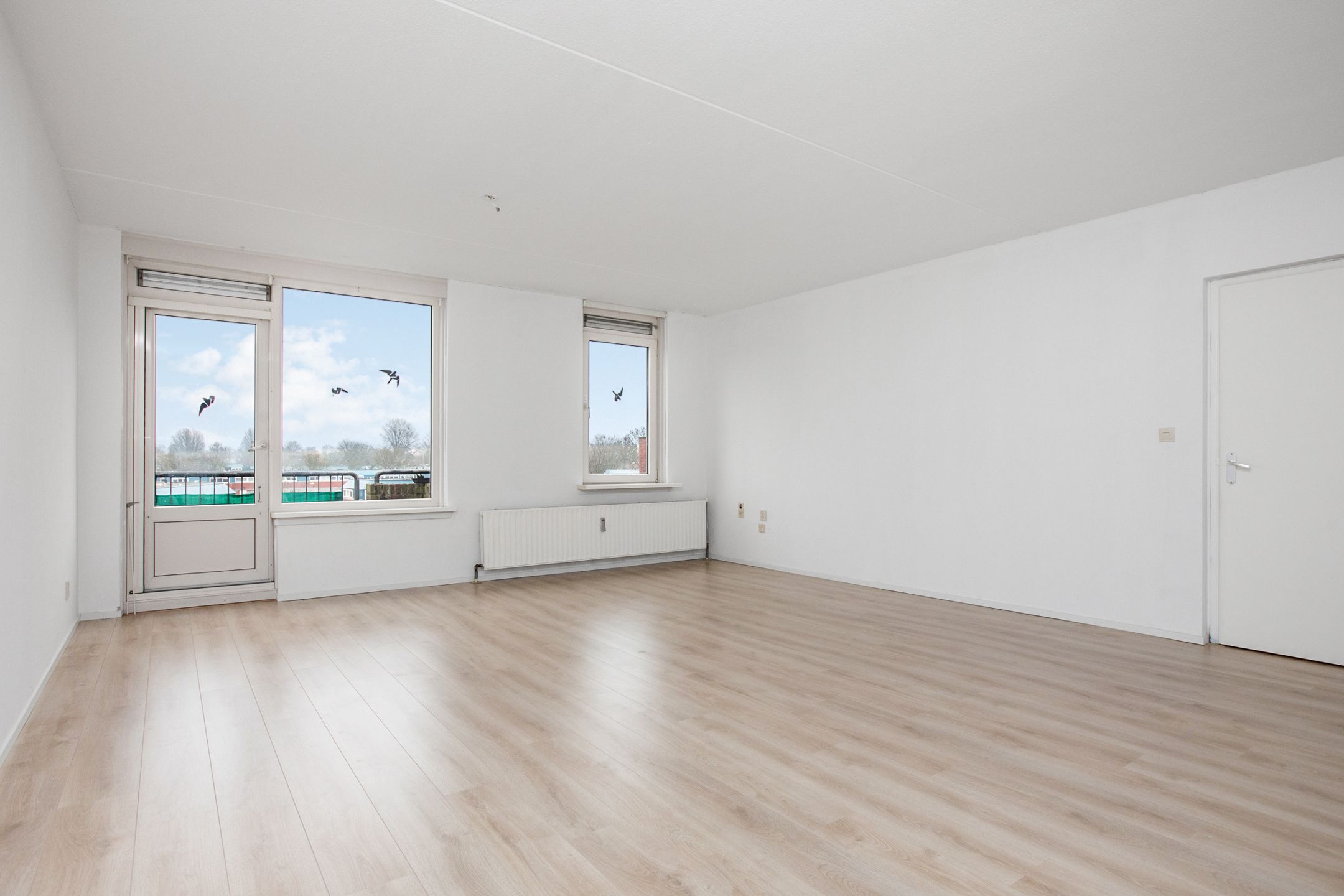 Photo 3 of Jol 37 45