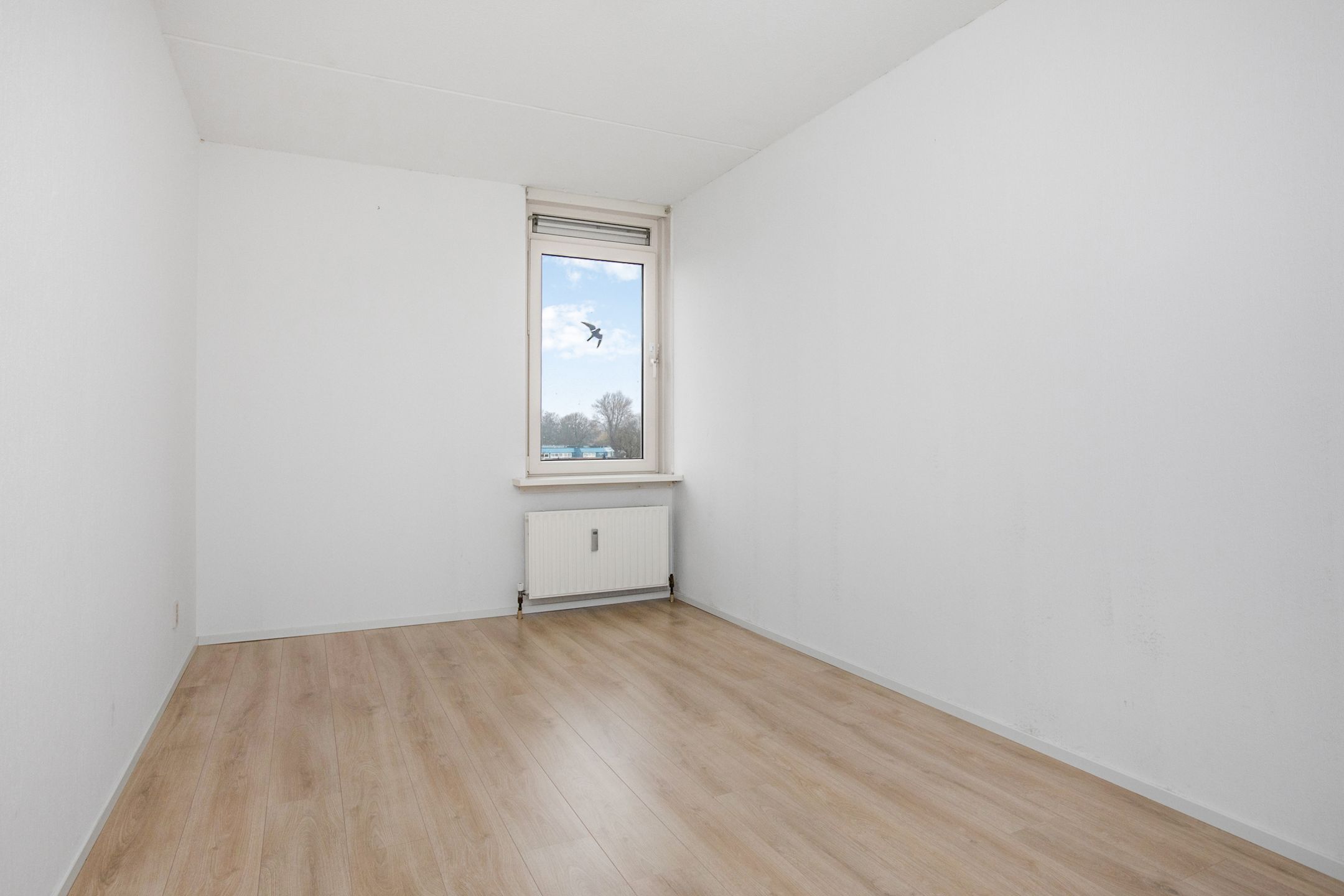 Photo 18 of Jol 37 45