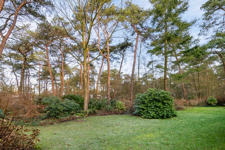 Foto 3 van Bosdreef 5