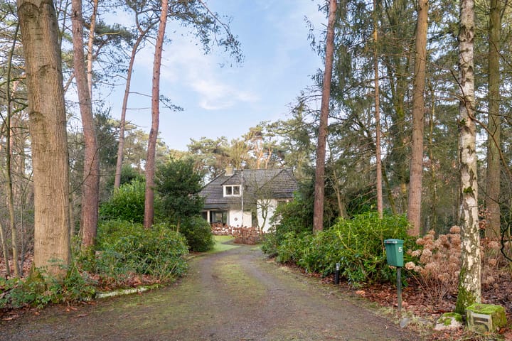 Foto 46 van Bosdreef 5