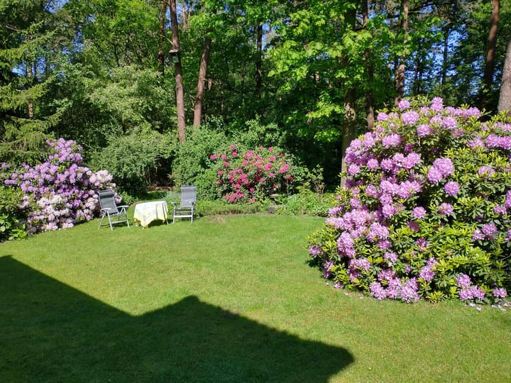 Foto 52 van Bosdreef 5