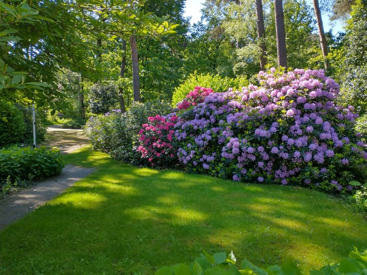 Foto 53 van Bosdreef 5