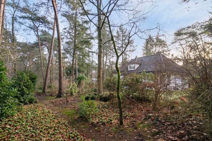 Foto 54 van Bosdreef 5