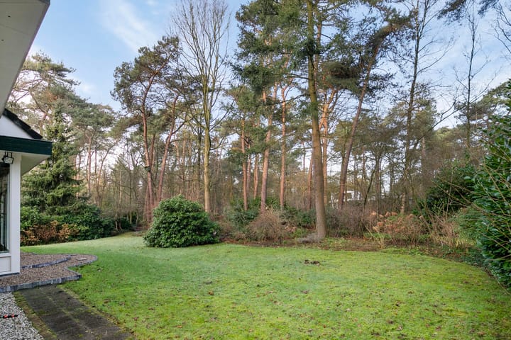 Foto 55 van Bosdreef 5