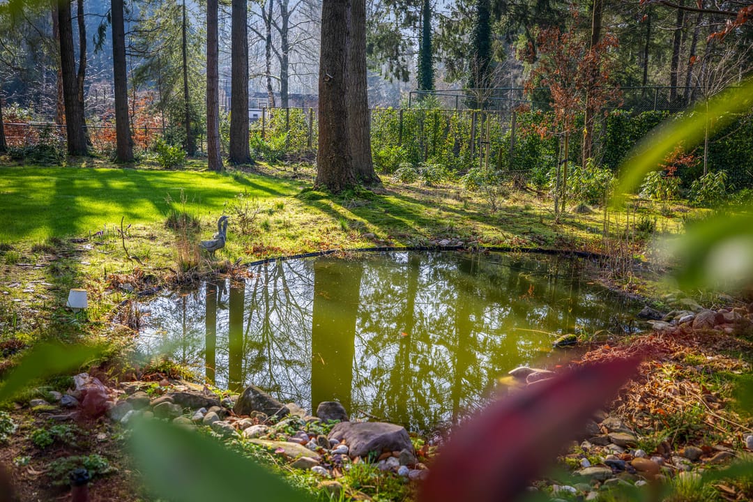 Foto 46 van Bosweg 20