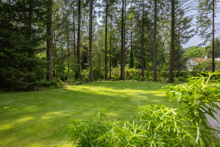 Foto 58 van Bosweg 20