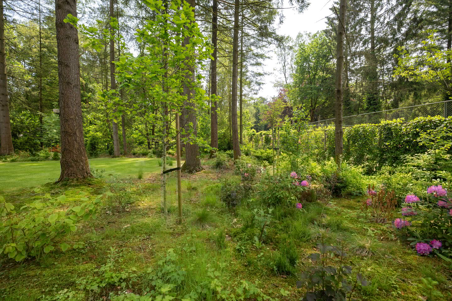 Foto 59 van Bosweg 20