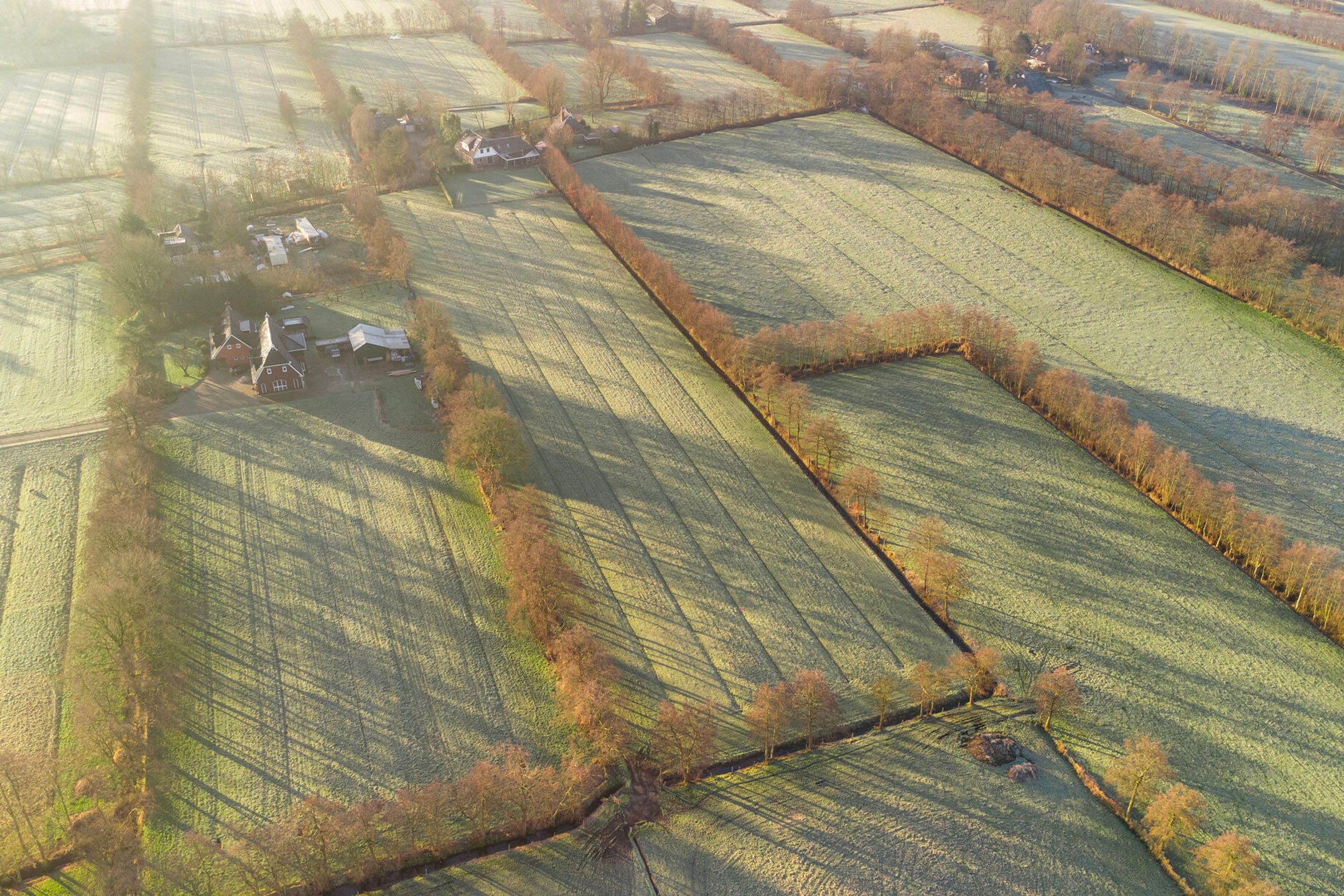 Foto 3 van Foarwei 71