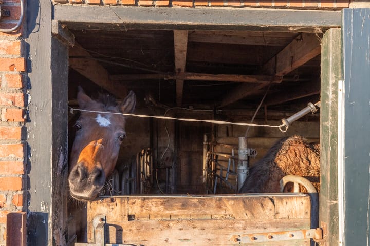 Foto 33 van Foarwei 71