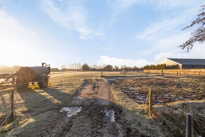 Foto 34 van Foarwei 71