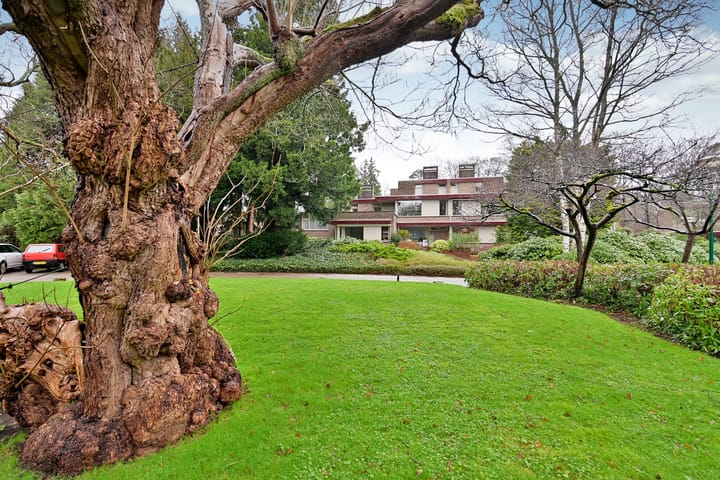 Foto 3 van Uytenbosch 36