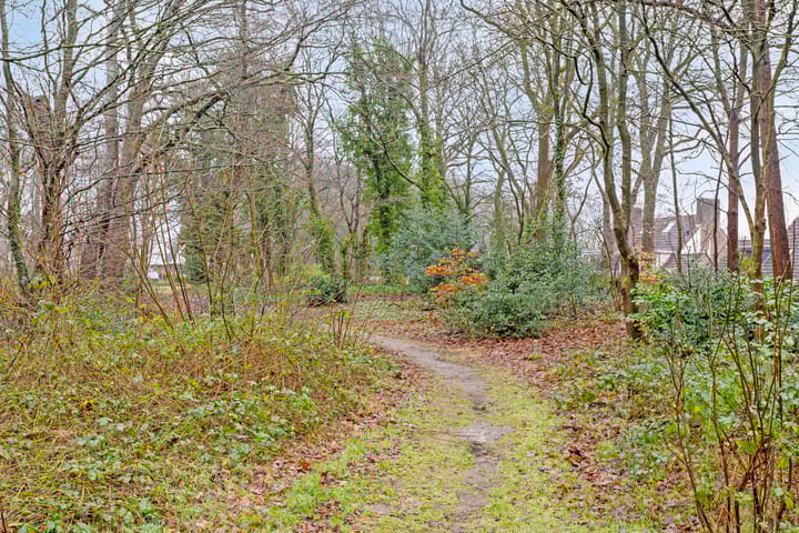 Foto 41 van de Hilde 86