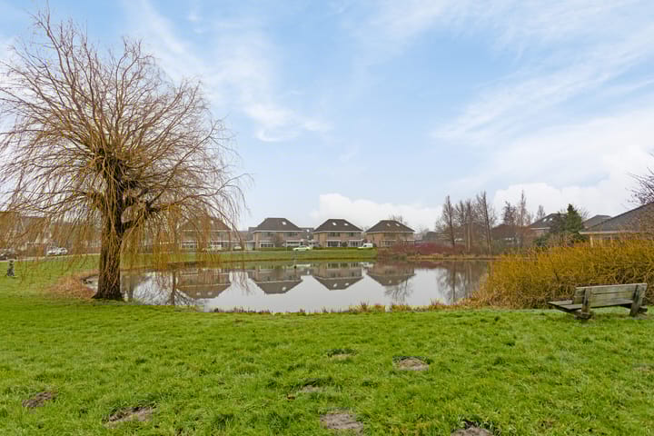 Foto 51 van Strijkmolen 2