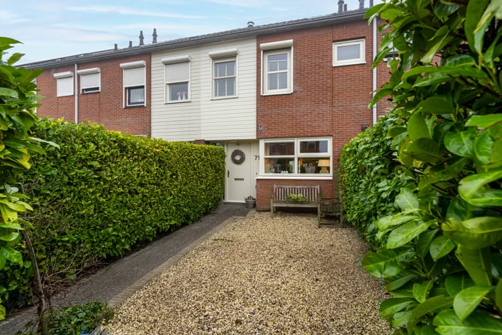 Foto 1 van Richter 71